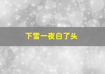 下雪一夜白了头