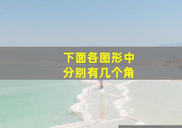 下面各图形中分别有几个角