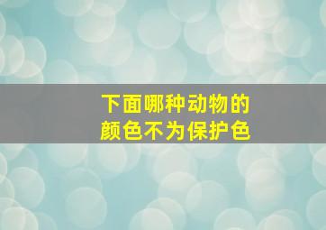 下面哪种动物的颜色不为保护色