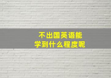 不出国英语能学到什么程度呢