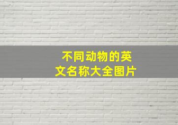 不同动物的英文名称大全图片