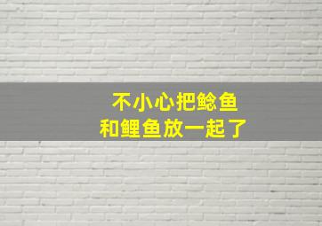 不小心把鲶鱼和鲤鱼放一起了