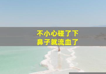 不小心碰了下鼻子就流血了