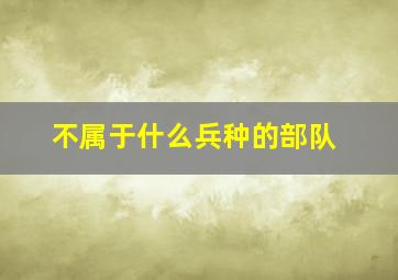 不属于什么兵种的部队