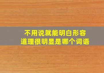 不用说就能明白形容道理很明显是哪个词语