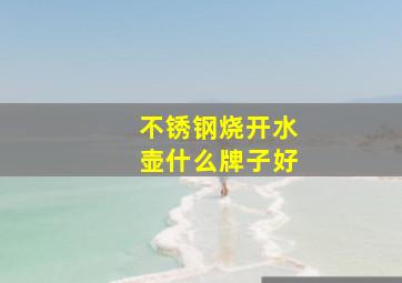 不锈钢烧开水壶什么牌子好