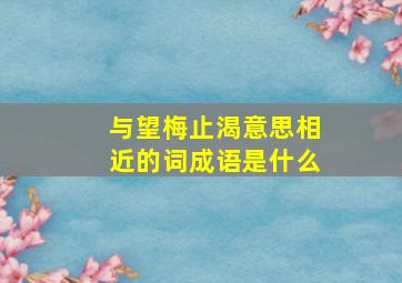 与望梅止渴意思相近的词成语是什么