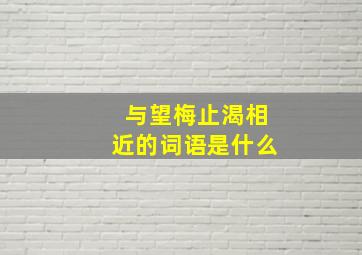 与望梅止渴相近的词语是什么