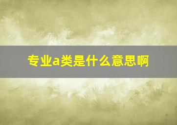 专业a类是什么意思啊