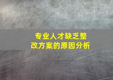 专业人才缺乏整改方案的原因分析