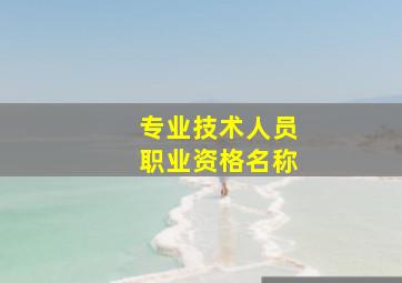 专业技术人员职业资格名称