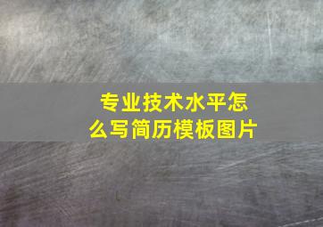 专业技术水平怎么写简历模板图片