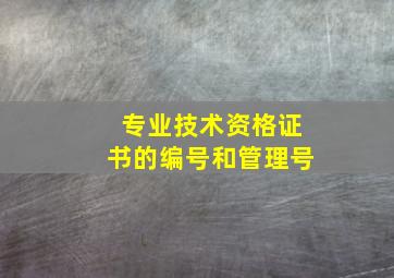 专业技术资格证书的编号和管理号