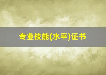 专业技能(水平)证书