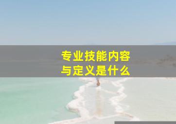 专业技能内容与定义是什么