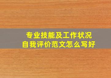 专业技能及工作状况自我评价范文怎么写好