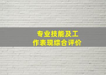 专业技能及工作表现综合评价