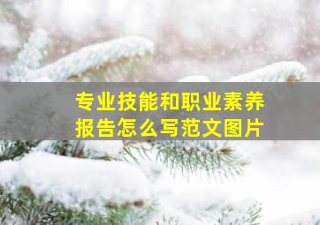 专业技能和职业素养报告怎么写范文图片