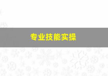 专业技能实操