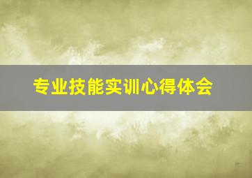 专业技能实训心得体会