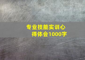 专业技能实训心得体会1000字