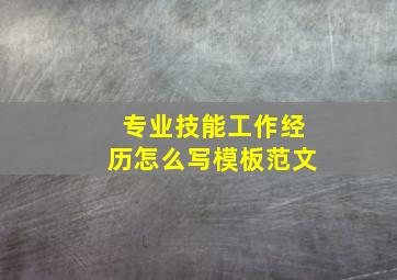 专业技能工作经历怎么写模板范文