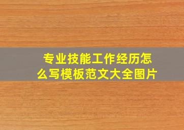 专业技能工作经历怎么写模板范文大全图片