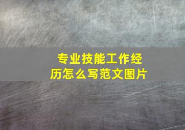 专业技能工作经历怎么写范文图片