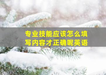 专业技能应该怎么填写内容才正确呢英语