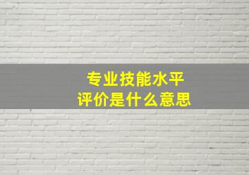 专业技能水平评价是什么意思