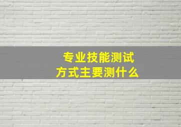 专业技能测试方式主要测什么