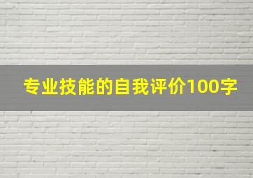 专业技能的自我评价100字