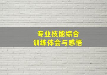 专业技能综合训练体会与感悟