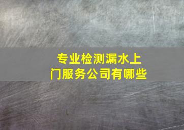 专业检测漏水上门服务公司有哪些