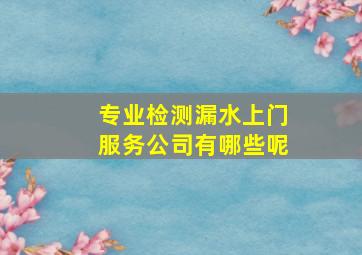 专业检测漏水上门服务公司有哪些呢