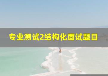 专业测试2结构化面试题目