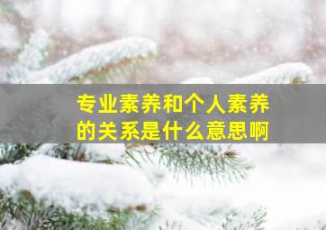 专业素养和个人素养的关系是什么意思啊