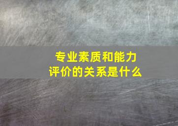 专业素质和能力评价的关系是什么