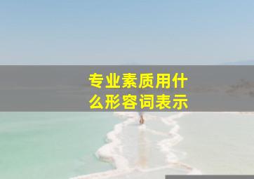 专业素质用什么形容词表示