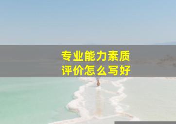 专业能力素质评价怎么写好