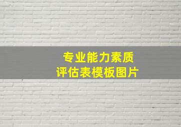 专业能力素质评估表模板图片