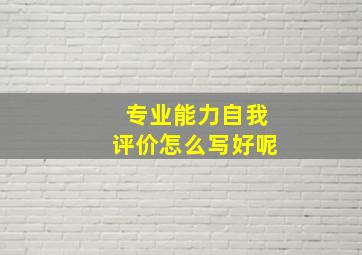 专业能力自我评价怎么写好呢