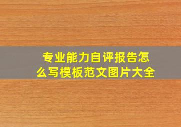 专业能力自评报告怎么写模板范文图片大全