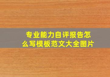 专业能力自评报告怎么写模板范文大全图片