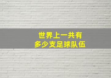 世界上一共有多少支足球队伍