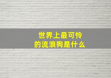 世界上最可怜的流浪狗是什么