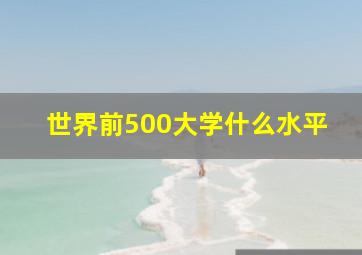 世界前500大学什么水平