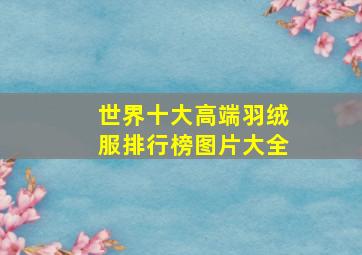 世界十大高端羽绒服排行榜图片大全