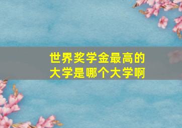 世界奖学金最高的大学是哪个大学啊