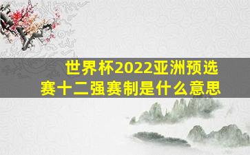 世界杯2022亚洲预选赛十二强赛制是什么意思